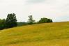 2567 Hwy 184  Lots & Land - Mike Parker/HUFF Realty Northern Kentucky Real Estate