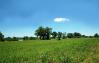 5 Hwy 42  Lots & Land - Mike Parker/HUFF Realty Northern Kentucky Real Estate