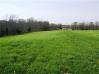 7565 Ky Highway 16 HWY  Lots & Land - Mike Parker/HUFF Realty Northern Kentucky Real Estate